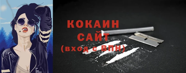 ГАЛЛЮЦИНОГЕННЫЕ ГРИБЫ Горняк