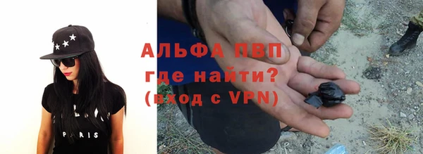 ГАЛЛЮЦИНОГЕННЫЕ ГРИБЫ Горняк