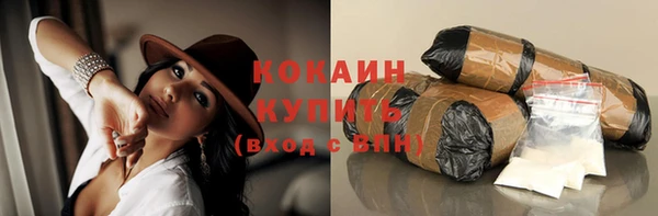 ГАЛЛЮЦИНОГЕННЫЕ ГРИБЫ Горняк