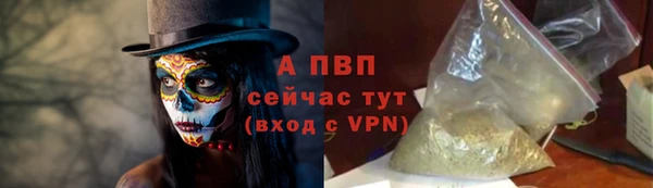 ГАЛЛЮЦИНОГЕННЫЕ ГРИБЫ Горняк