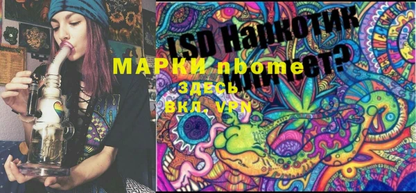 ГАЛЛЮЦИНОГЕННЫЕ ГРИБЫ Горняк