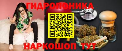 тгк Гусев