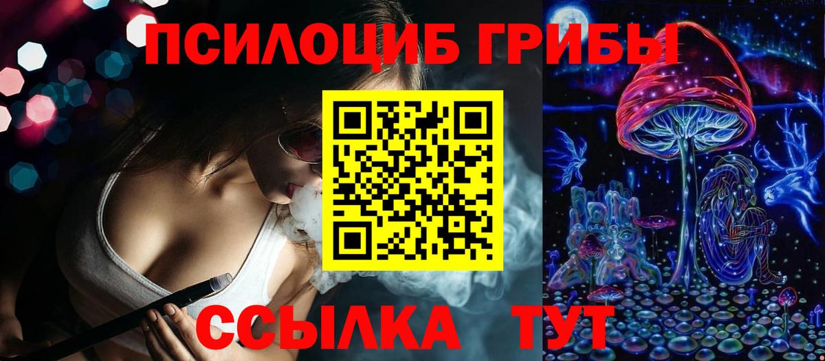 Галлюциногенные грибы прущие грибы Мурманск