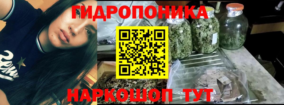 Каннабис конопля  Вход с VPN  Каннабис Ganja  Мурманск  МАРИХУАНА гибрид 